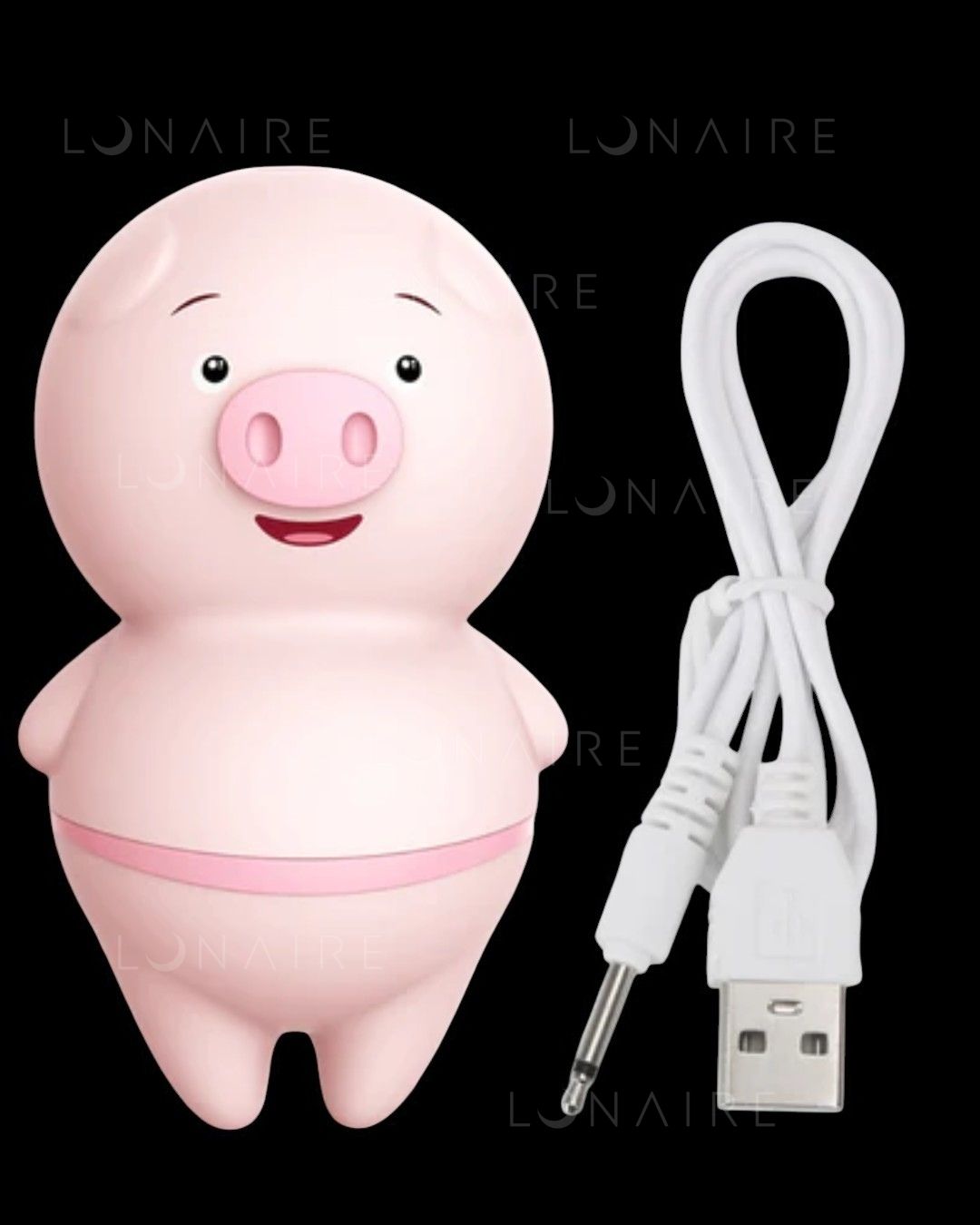 TOY PIG 2 em 1