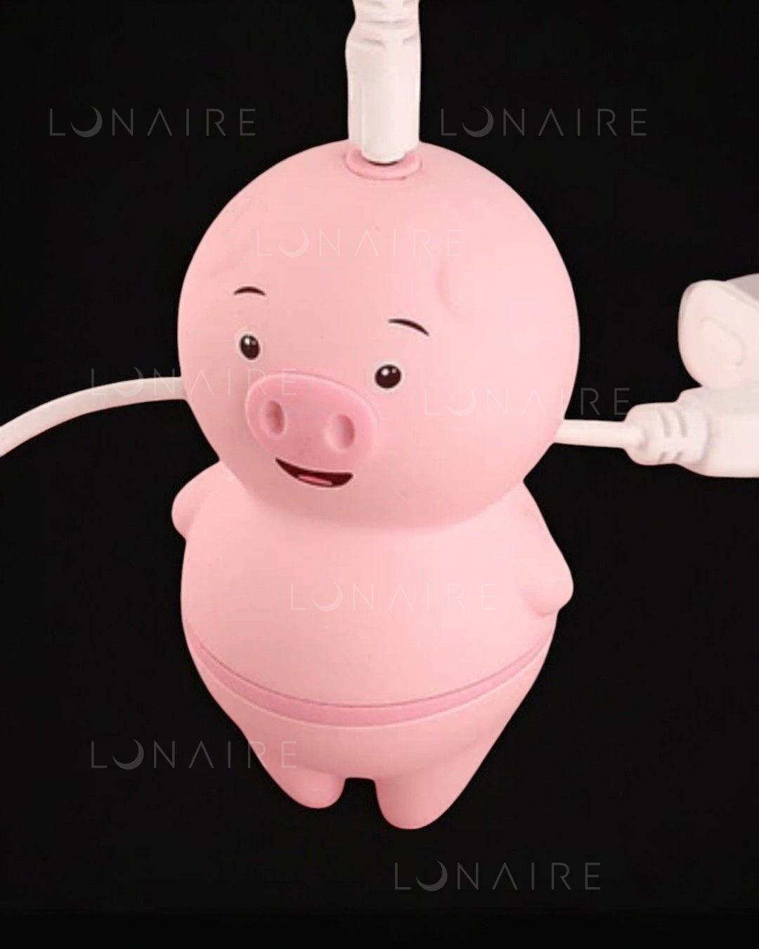 TOY PIG 2 em 1