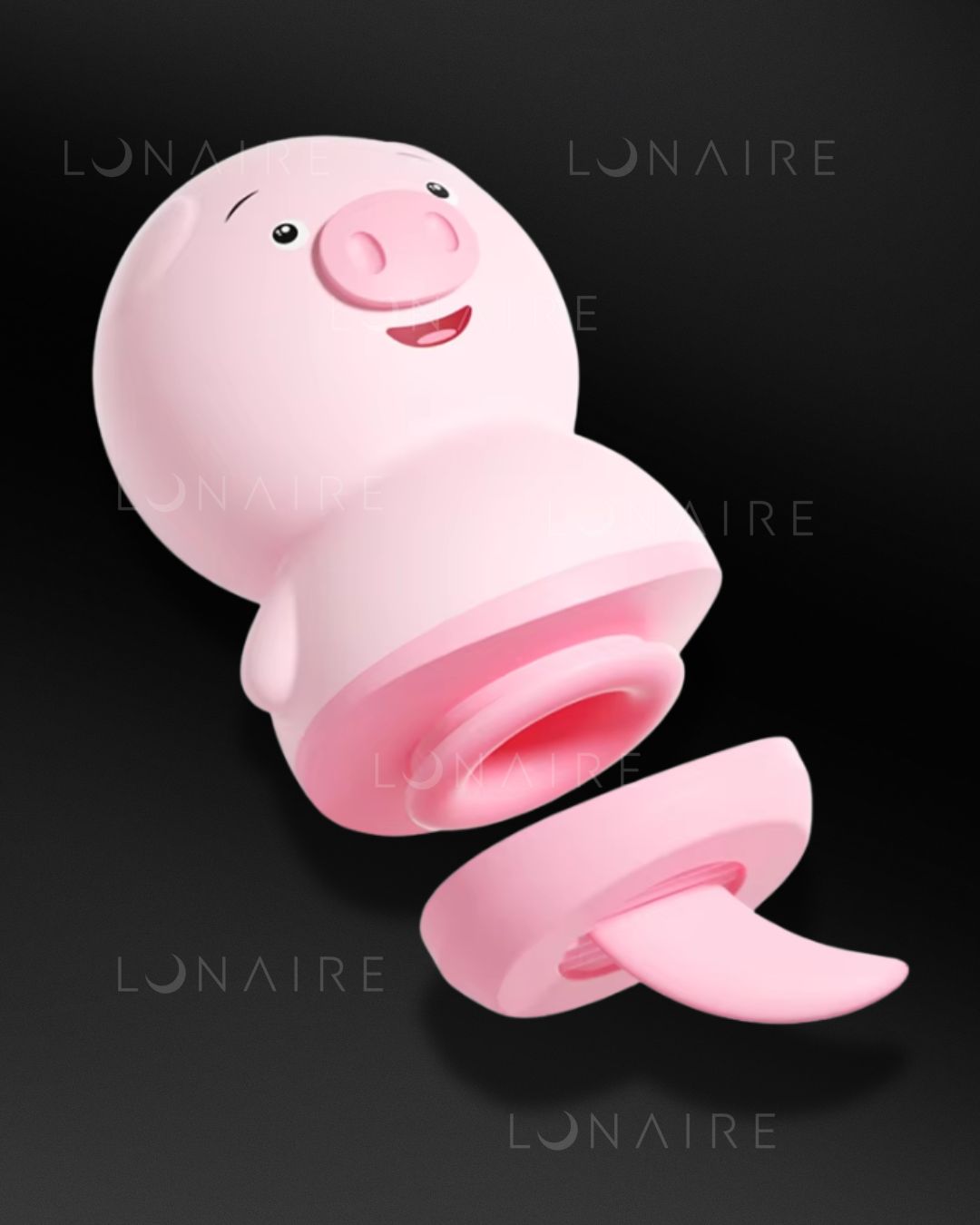 TOY PIG 2 em 1