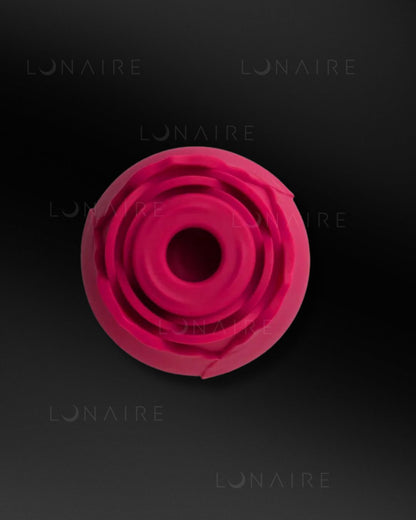 TOY TULIPA